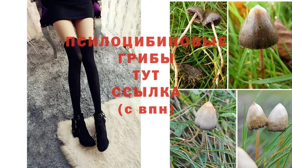 ПСИЛОЦИБИНОВЫЕ ГРИБЫ Бронницы