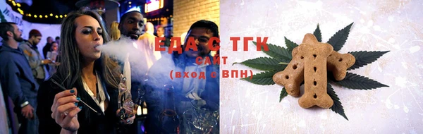 эйфоретик Бородино
