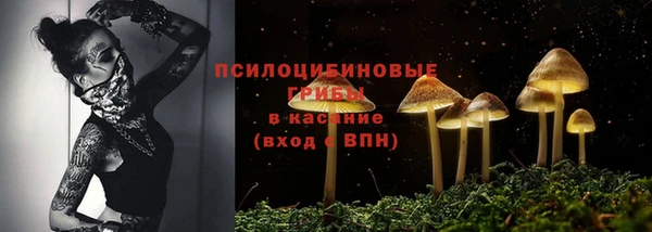 ешки Богданович