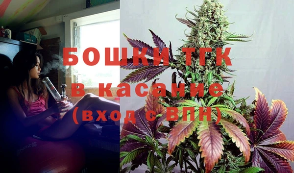 эйфоретик Бородино