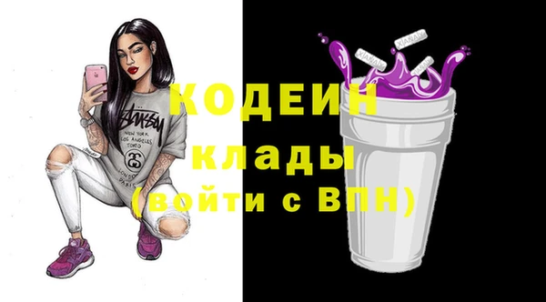 эйфоретик Бородино