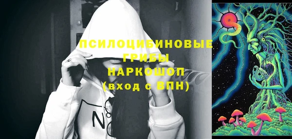 соль ск Богородицк