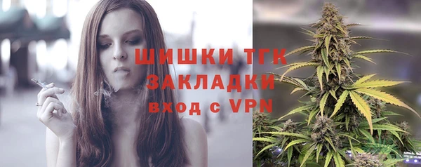 эйфоретик Бородино