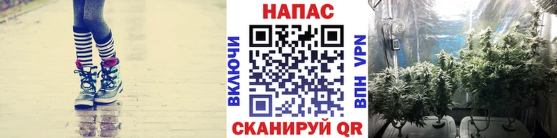закладка  Киренск  Конопля Ganja 